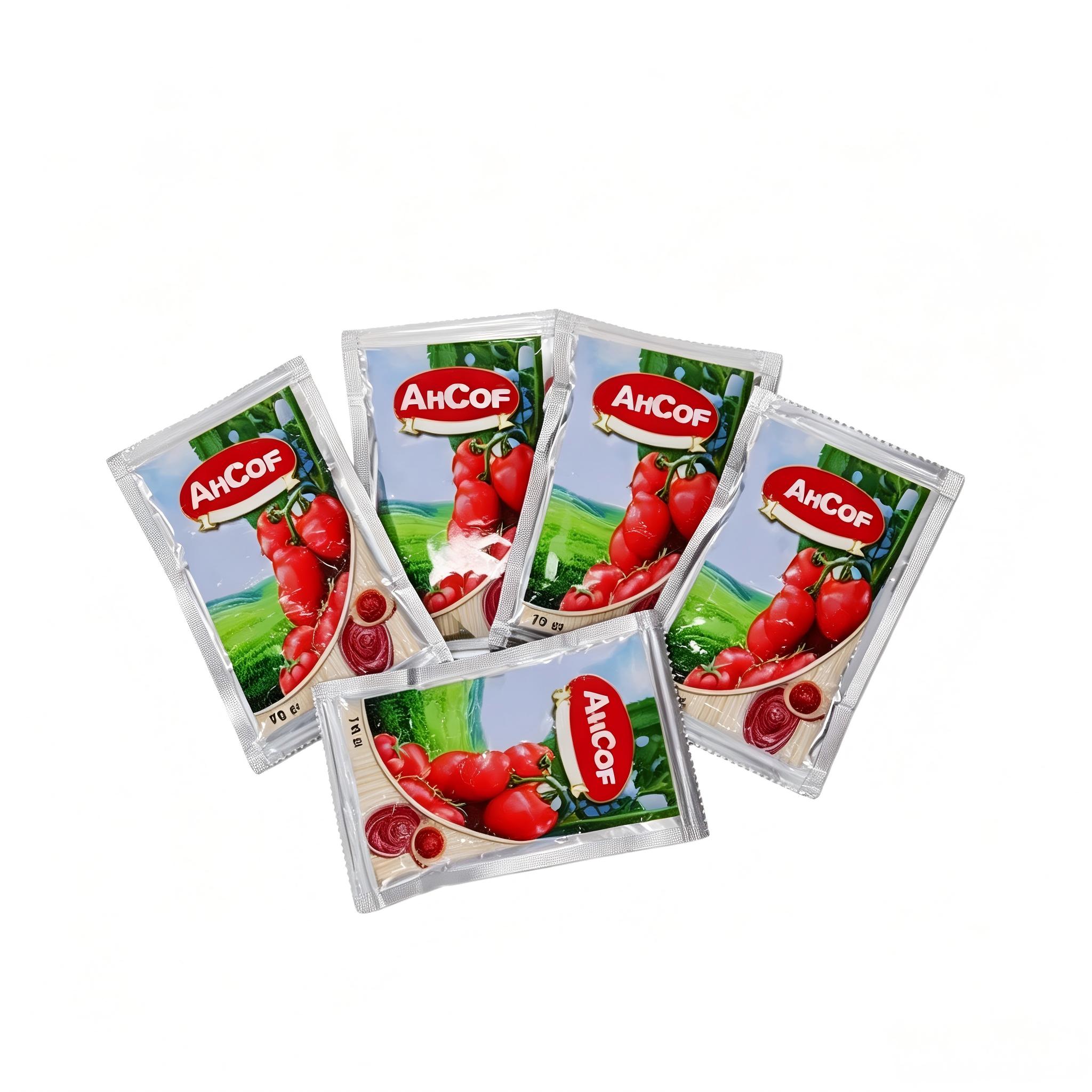 Wholesale Sachet Tomato Paste 70g Pouch | Pure Tomato Paste for Global Market