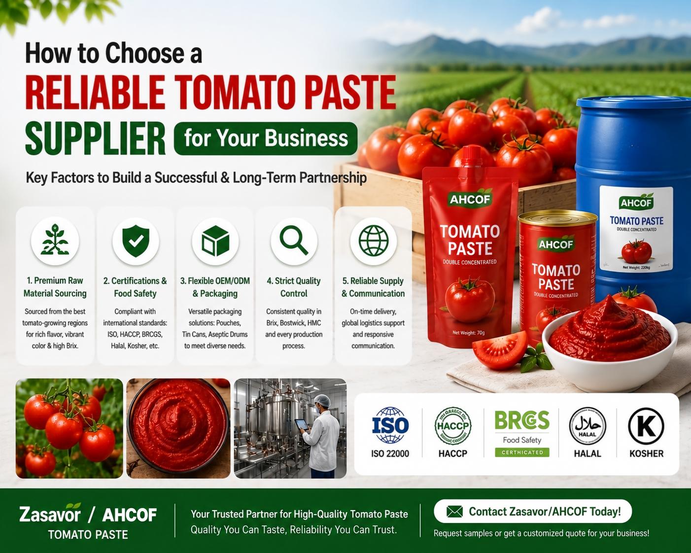 How to Choose a Reliable Tomato Paste Supplier for Your Business