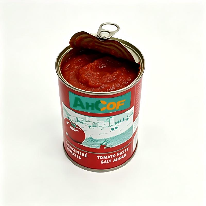Canned Tomato Paste Salt Added