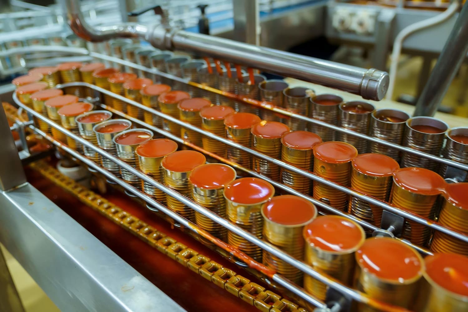 Bulk Tomato Paste