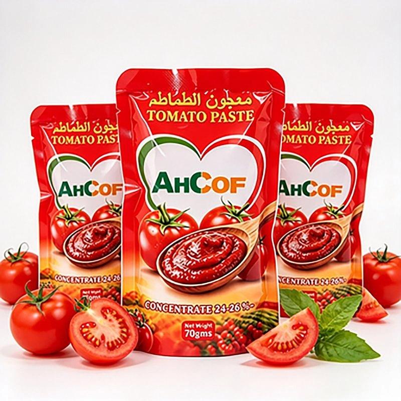 Wholesale Concentrated Tomato Paste in Pouches